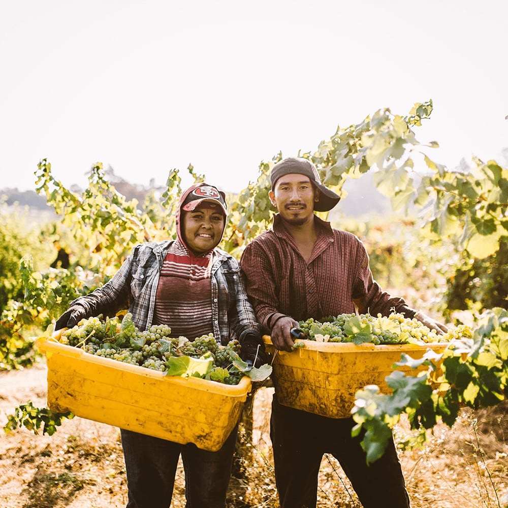 winery profile image