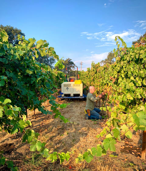 winery profile image