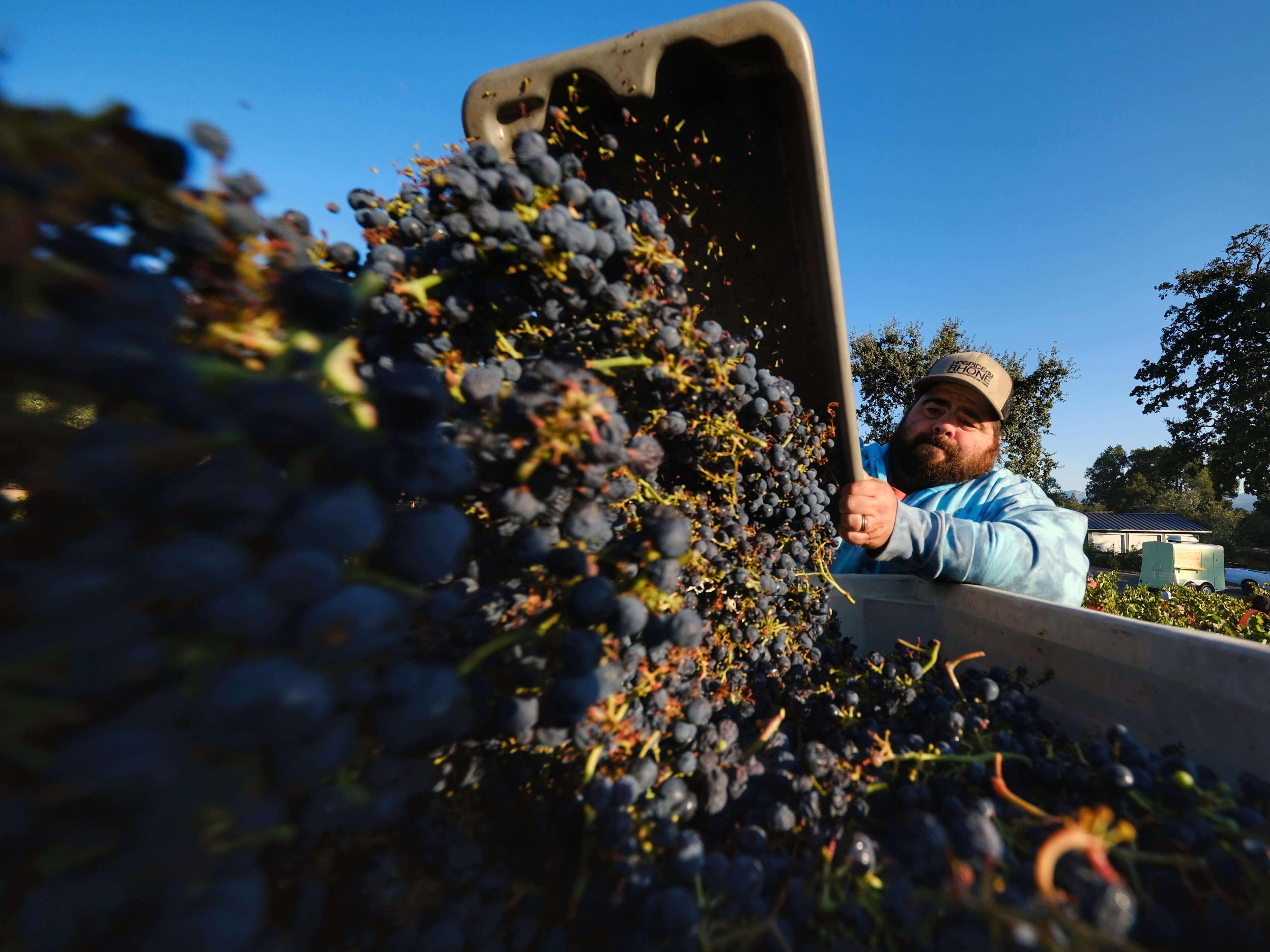 winery profile image