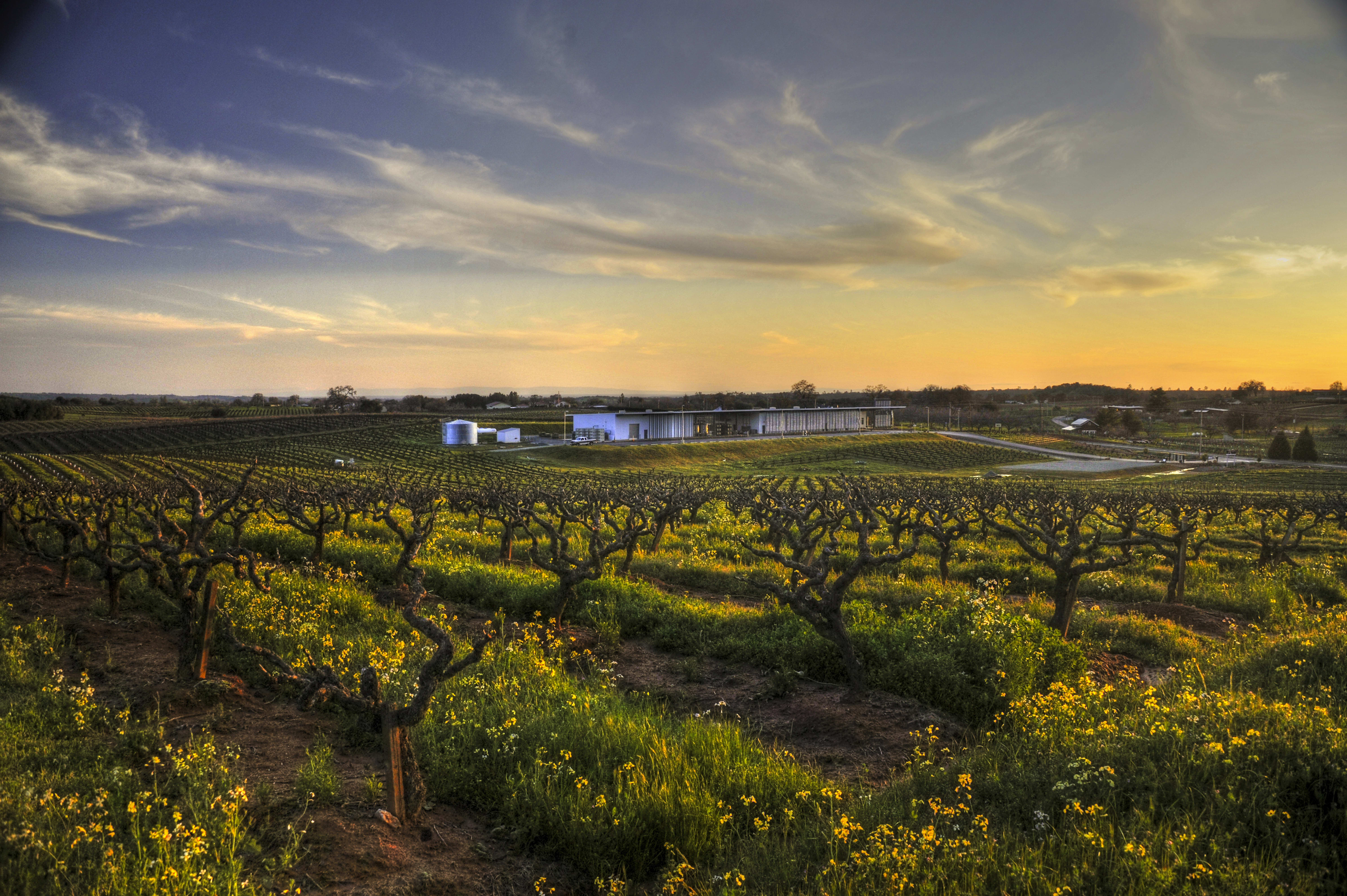 winery profile image