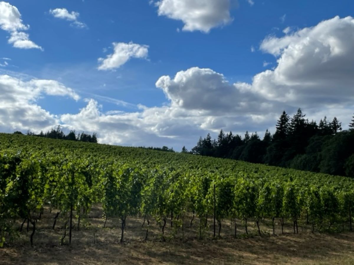 winery profile image