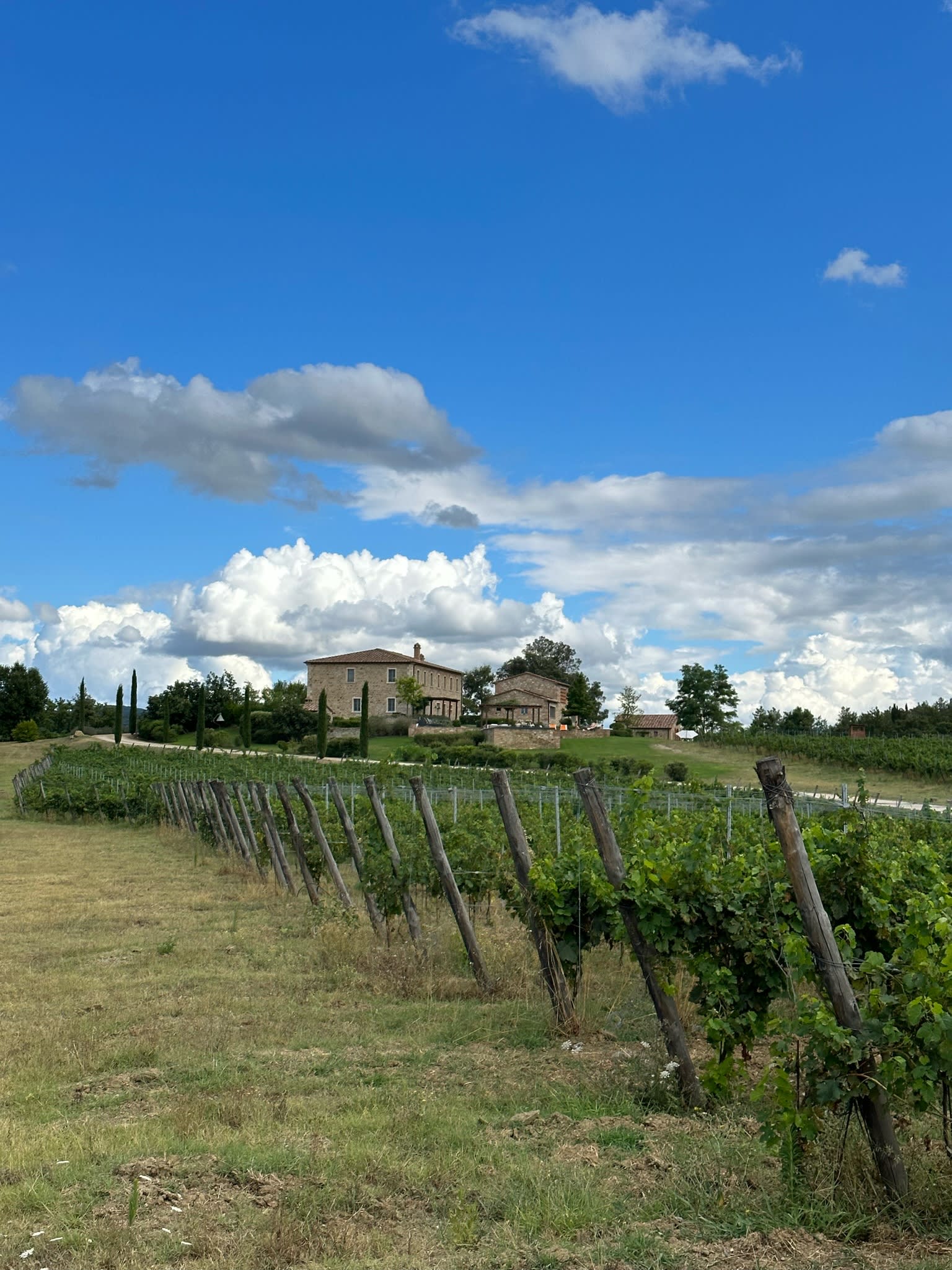 winery profile image