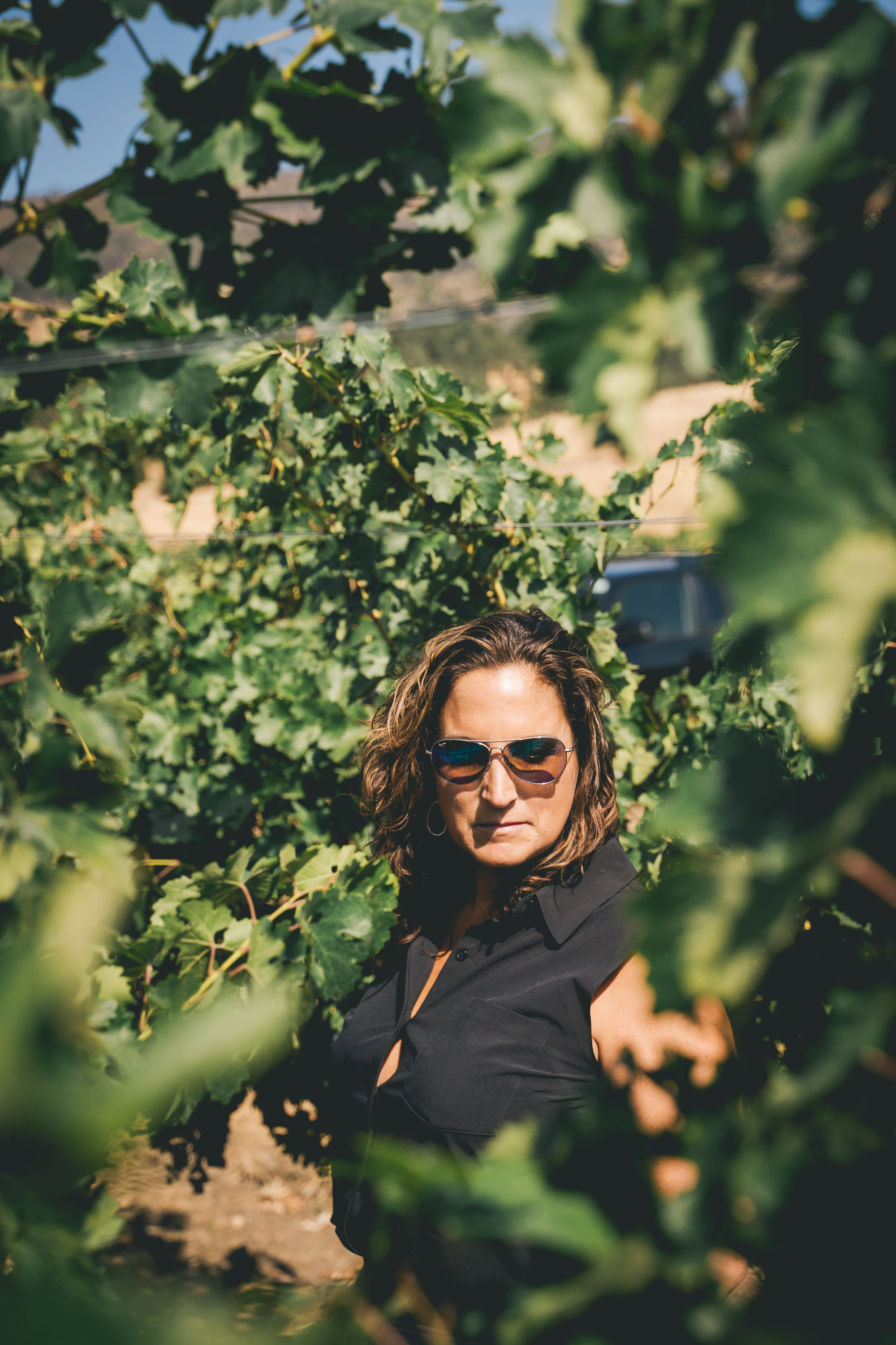 winery profile image