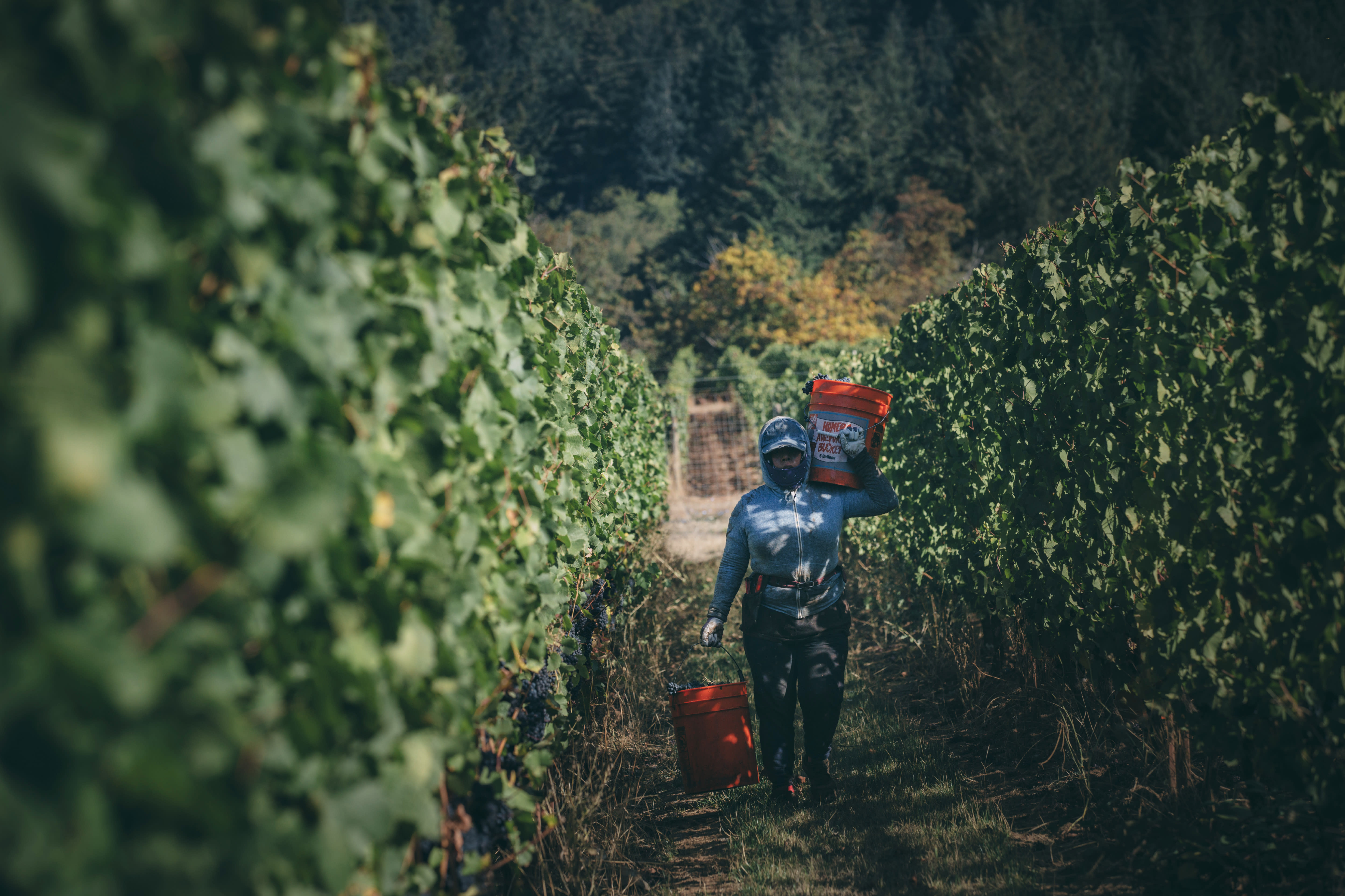 winery profile image