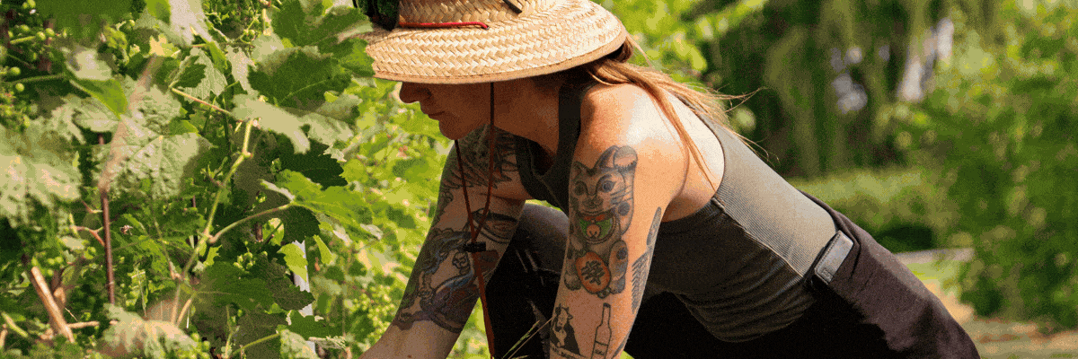 Blog Post Header Image