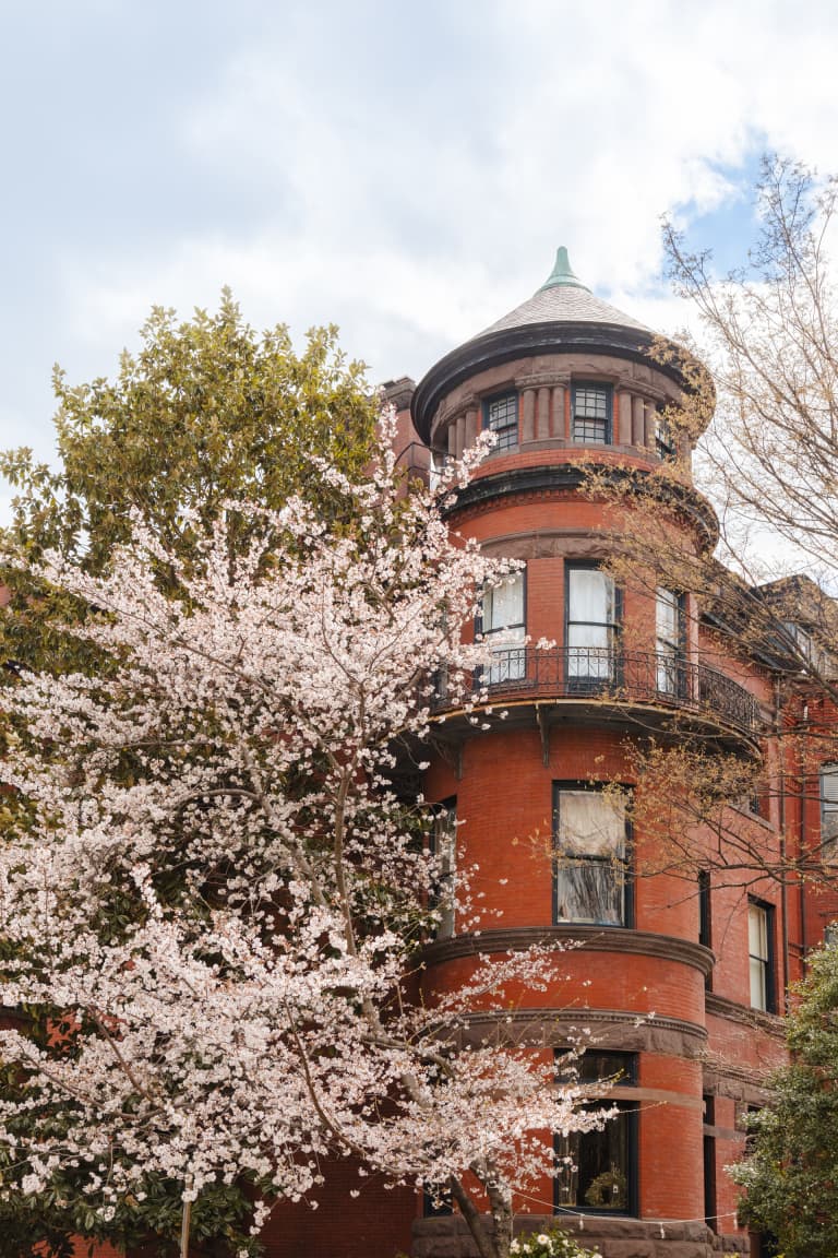 FOUND Dupont Circle Neighborhood Apartment Rentals Sonder