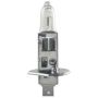 BULB H1 55W      V12    1PC photo du produit