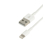 Cor USB 2.0 A M-Lightning M photo du produit