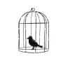 CAGE OISEAU MeTAL MICROLED photo du produit