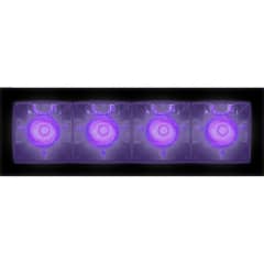 Sharp 4X Violet Integralis WF photo du produit