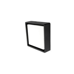 FRAME SQUARE NR 6W 830 +TWIL photo du produit