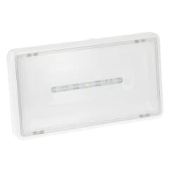 LSC EVAC LED IP43 48VDC230VAC photo du produit