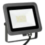 LED Proj. Gris 2.0 30W 6500K photo du produit