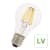 LED FIL A60 E27 12V-24V 6W CL photo du produit