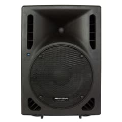 PSA-10, Enceinte active  10 " photo du produit