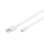 Cable USB A-Lightning MFI 2m photo du produit