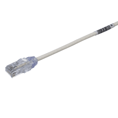 Cat 6 Cord Brass UTP photo du produit