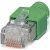 FL PLUG RJ45 GN-2 photo du produit