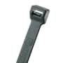 Cable Tie, No Buckle, 21.8L ( photo du produit