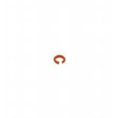 Accessoires V1-MARKING-RING-OR photo du produit