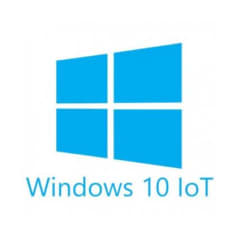 Windows 10 IoT 2021 UK - High photo du produit