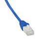 CORDON UUTP CAT6 0,5m Bleu photo du produit