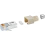 RJ45 plug Stewart (Stewart) Ca photo du produit