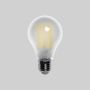 Lampe LED · E27 photo du produit