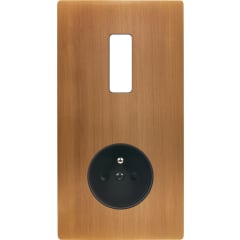 FAC M LAITON BRONZE DV B1 PC photo du produit