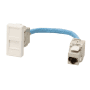 Plastron RJ45 C6 FF 1 mod 0.2m photo du produit