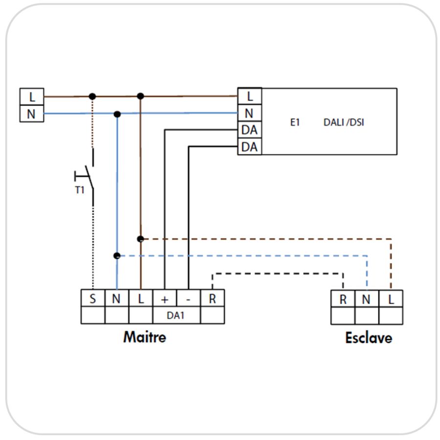 Schema Cablage Dali Avec Bouton Poussoir BEG - 92530 - PD4-M-DALI-DSI-C-AP