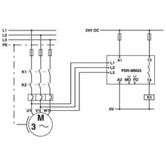 PSR-MM25-1NO-2DO-24DC-SP photo du produit