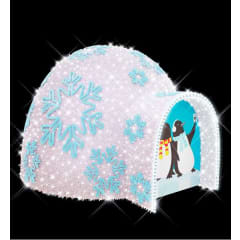 ICE IGLOO photo du produit