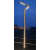 LAMP 80W ECL PIETON 5M GR 4000 photo du produit