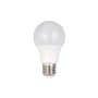 BULB A60-E27-9W-4000K-NON DIM photo du produit