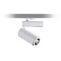 LEDO' PRJ 25W TUNABLE FL WHT C photo du produit