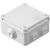 BTE IP55 100X100X50 1/4T P-FIL photo du produit