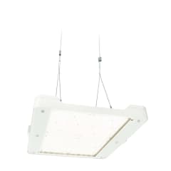 BY481P LED250S/865 PSD WB GC S photo du produit