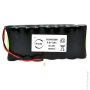 Pack(s) Batterie Nimh 8x AA 8S photo du produit