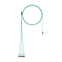OM4 12-fiber round harness ca photo du produit