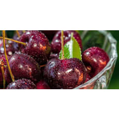 Dynaver GS CHERRIES-Sans cadr photo du produit