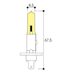 AUTO H1 24V 70W P14,5S photo du produit