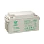 BATTERIE NPL 65AH 12V BAC V0FR photo du produit