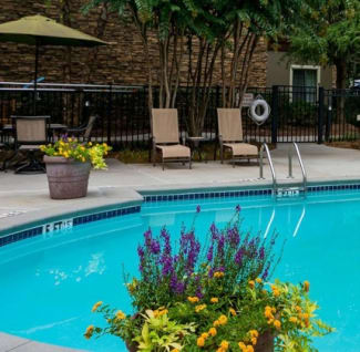 pool
