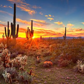 Scottsdale