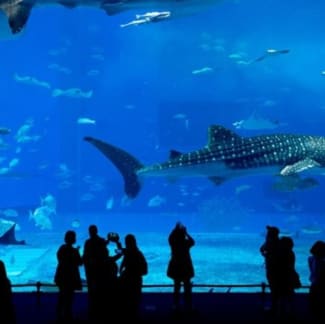 National Aquarium