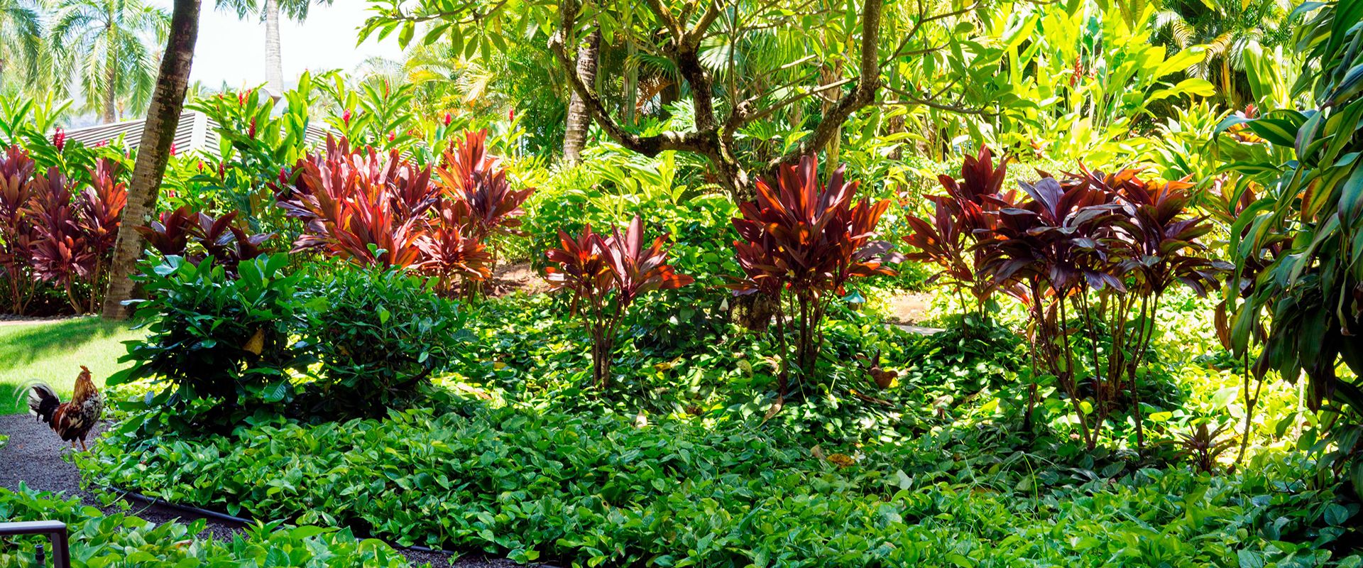 Garden View Garden View