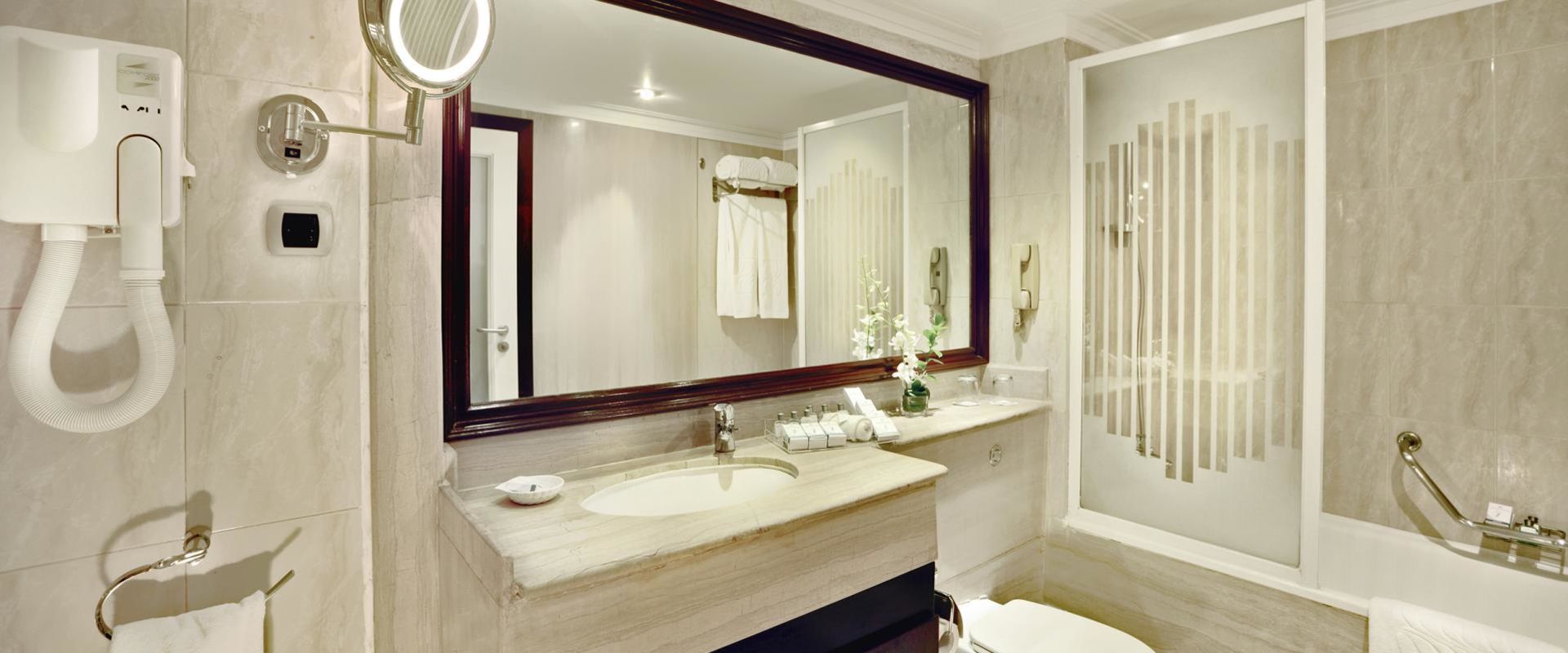 Deluxe Room Bathroom