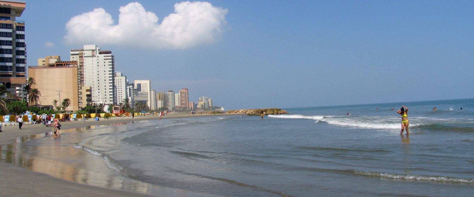 Local Area