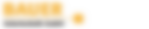Logo Bauer Solar